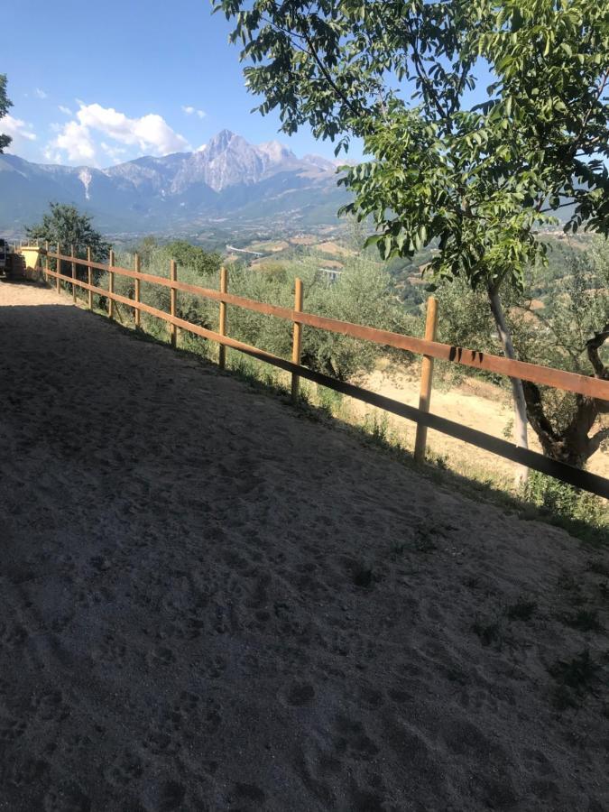 Agriturismo Flara Basciano Exteriér fotografie
